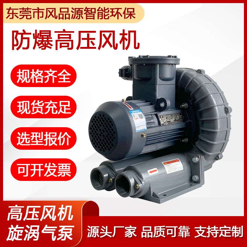 石油化工防爆鼓风机2GH 810-H17高压漩涡风机隔爆耐腐蚀旋涡气泵