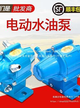 晶体管电磁式电动油泵24v12v五十铃汽车货车水泵柴油泵外置抽油泵