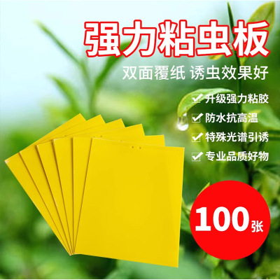 双面粘虫板防虫贴纸蓟马蓝板