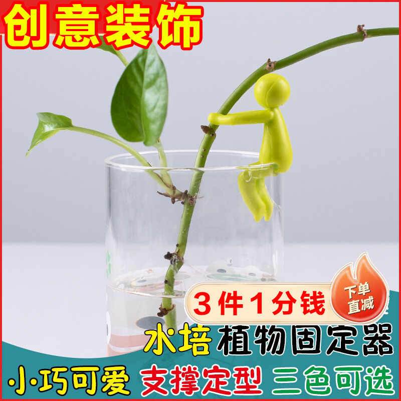 新款水培植物生长伴侣水培器皿扶正扶枝桌面装饰固定造型防倒伏叶