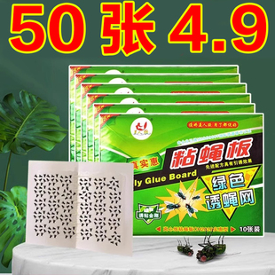 苍蝇贴灭蝇子神器一扫光家用强力粘苍蝇纸粘蝇板药沾蚊杀手捕捉器