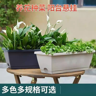 新款花盆种菜专用箱种菜盆长方形室外条形蔬菜香菜盆树脂菜盆