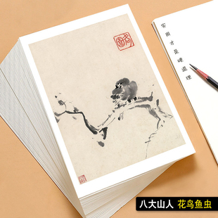 国画临摹卡八大山人花鸟鱼虫水墨绘画艺术培训高清印刷教学48幅