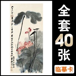 临摹卡国画名家手绘合集荷花篇中国风绘画入门艺术教学全套40幅