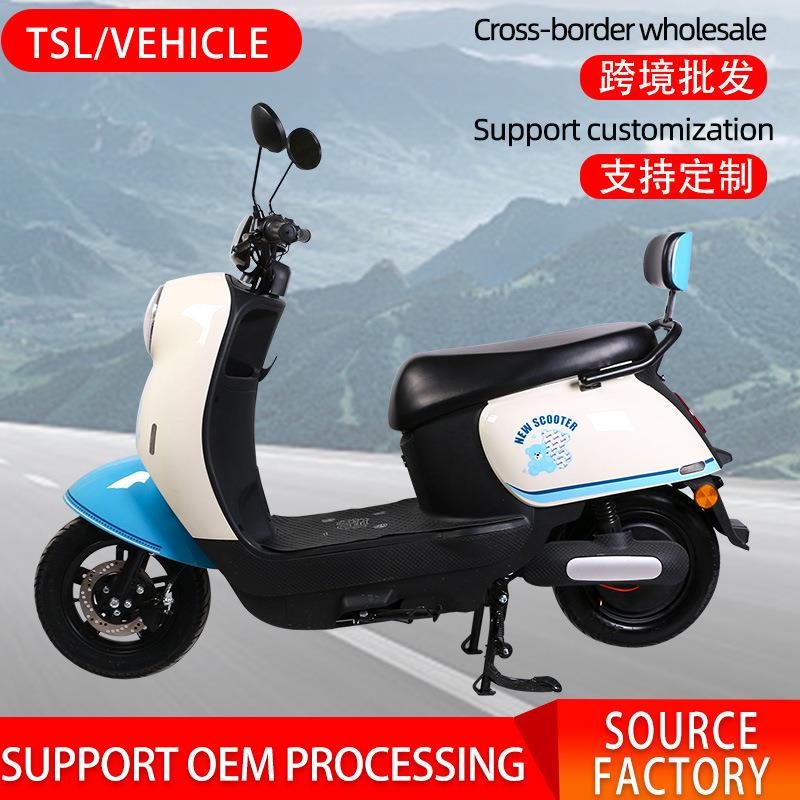 睫毛龟电动车电瓶车48v两轮电动自行车可跨境东南亚供货E-Bike厂