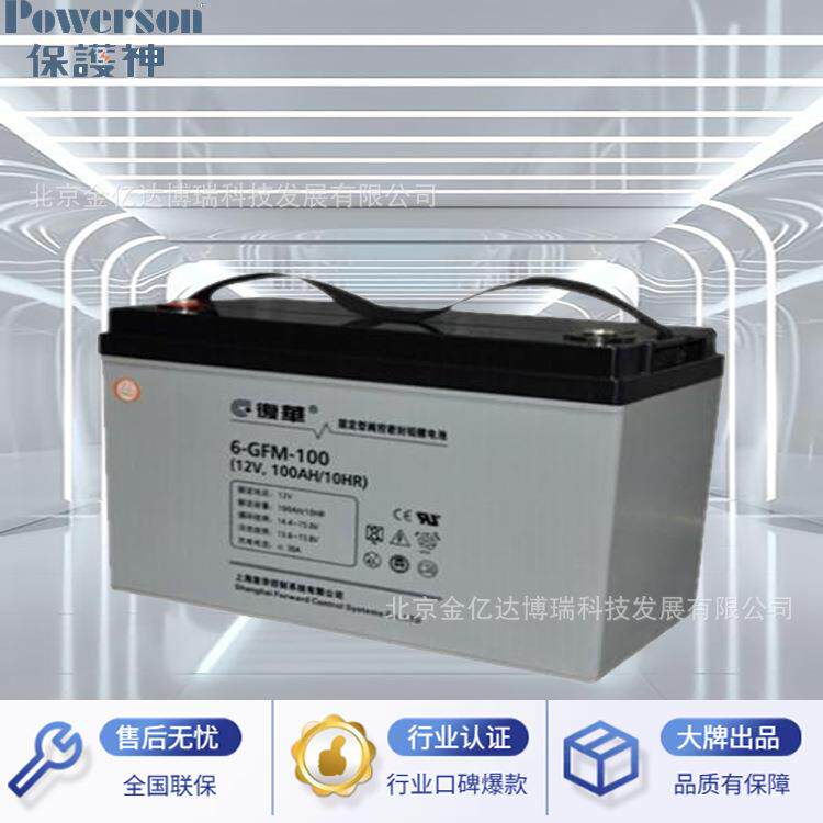 复华保护神6-GFM-65 12V65AH工业控制设备仪器仪表光伏风能储能