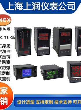 WSAT-T803 单回路单光柱数显控制仪 数字显示报警器