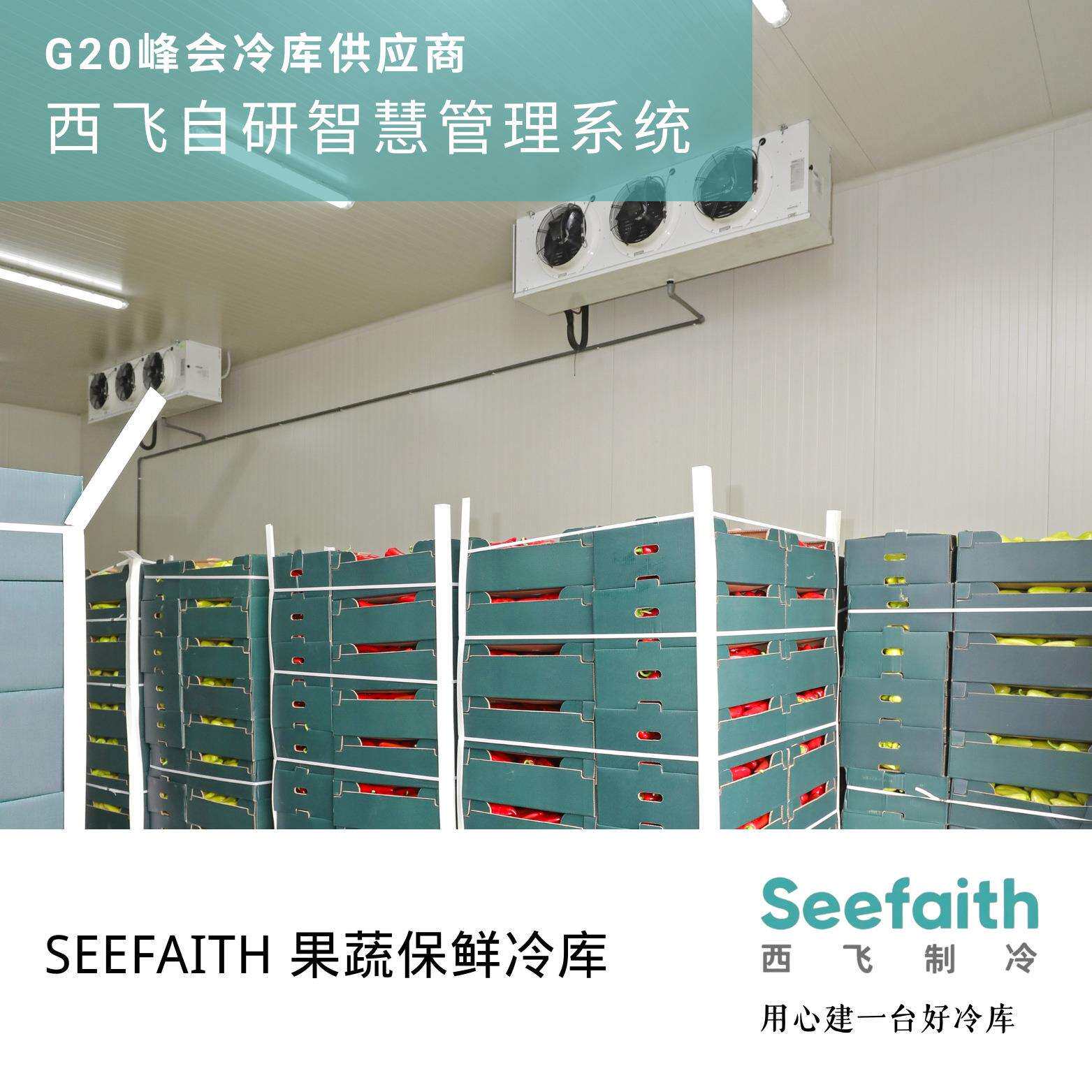 温度分区冷库自动调节高精度监控恒定冷藏柜冷柜