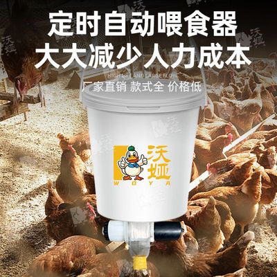 鸡食自动投喂器神器养鸭