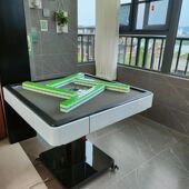 全自动麻将机家用超静音小尺寸麻将机智能静音过山车全自动电动折