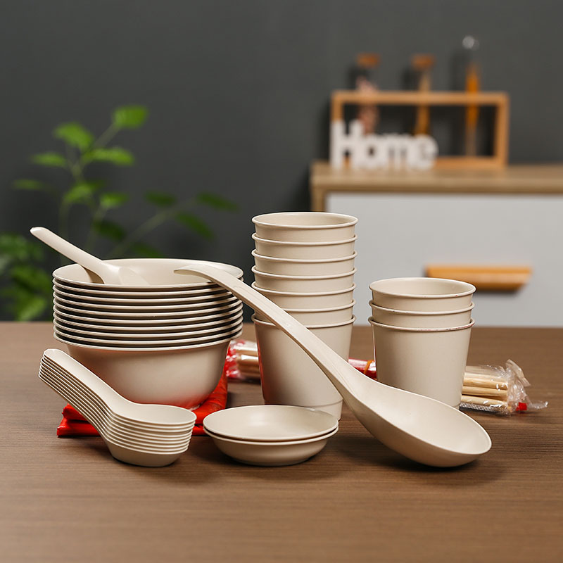 一次性家用高端结婚酒席户外露营