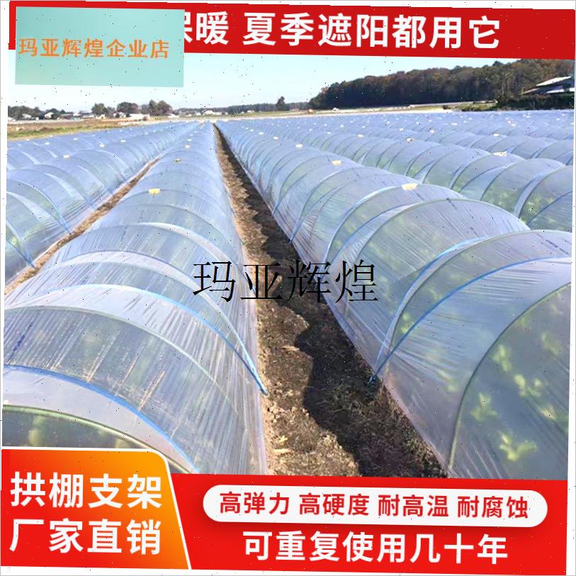 拱棚支架玻璃钢拱k棚大棚支架拱杆玻璃纤维杆农用拱棚甜瓜南瓜爬,