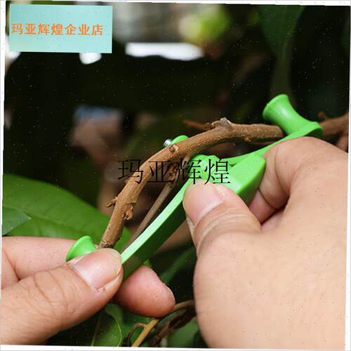 园林园艺植物拉枝定型神器u新技术弯粗枝器樱树拿弯定型别枝压枝,