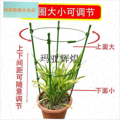 昙花专用支架可伸缩令箭球兰蓝雪花金H钱树朱顶红虎皮兰护叶爬藤,