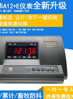 小地磅A1专用耀仪表称称重秤畜牧华显示器电子地磅2平台高精度