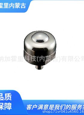 泰克PPF 60C600A SVV2FM万向球 珠滚60V216FS PV2E FMT 爱P