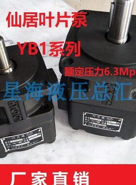 10B--/1居 /125/ Y//叶片泵50.63 Y铣床40磨床04BB1Y仙3210-