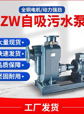 不锈钢铸铁Z吸泵工业用质材泵污水泵W连/进出水叶轮体/接/自