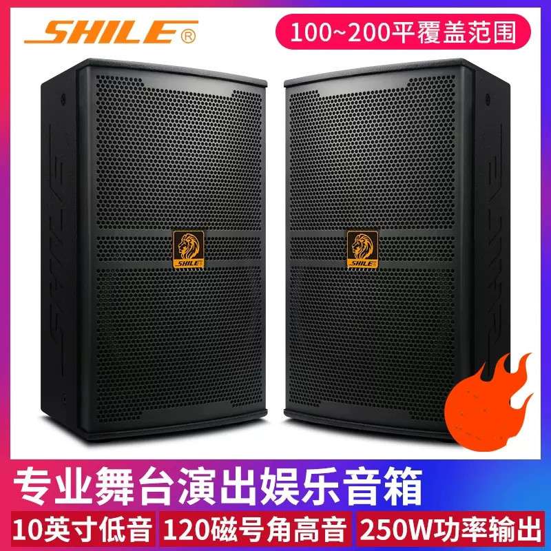 狮乐 BM-10 十寸专业音箱舞台演出KTV大功率婚庆会议音箱