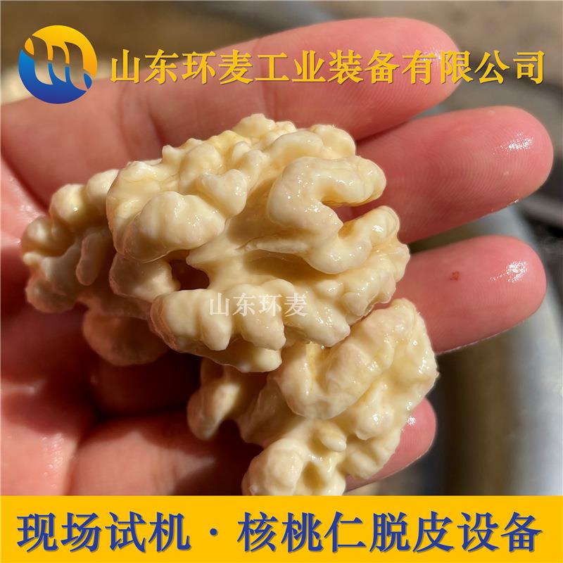 多味核桃仁去皮机风味核桃仁脱衣设备物理无污染