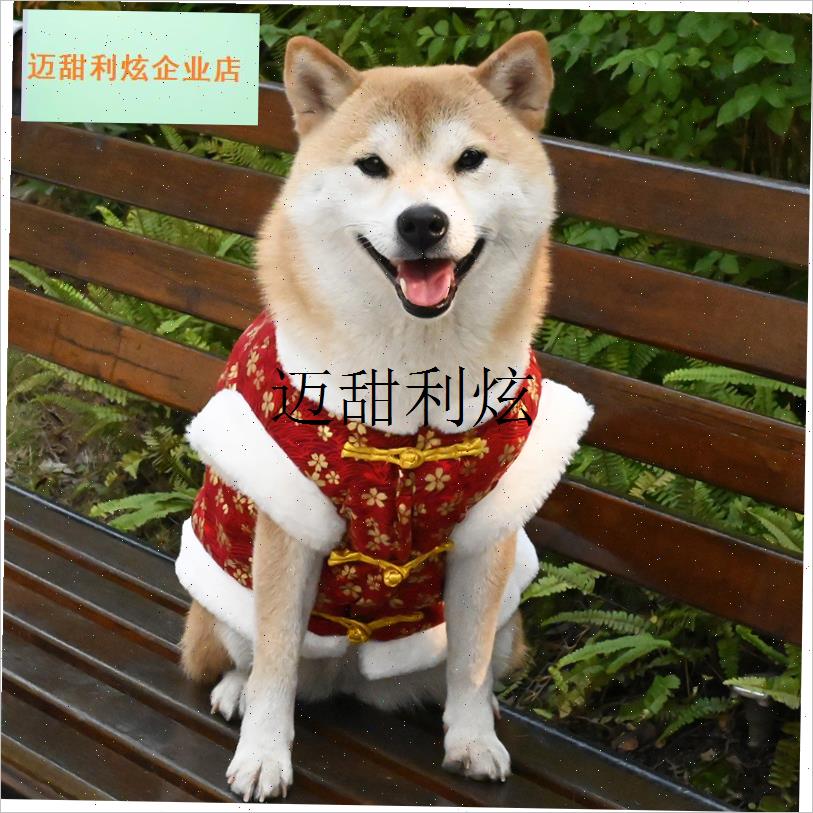 宠物狗狗c新年衣服柯基柴犬拜年服喜庆唐装国风秋冬汉服保暖棉衣,