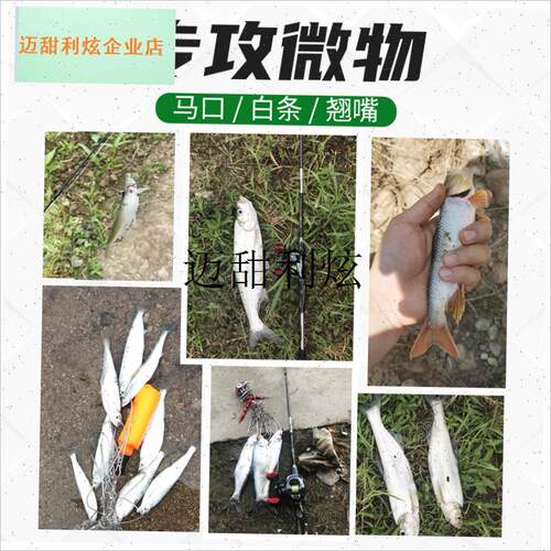 微物平振亮片路亚饵单钩血槽三本D钩羽毛钩远投饵马口白条假饵套,