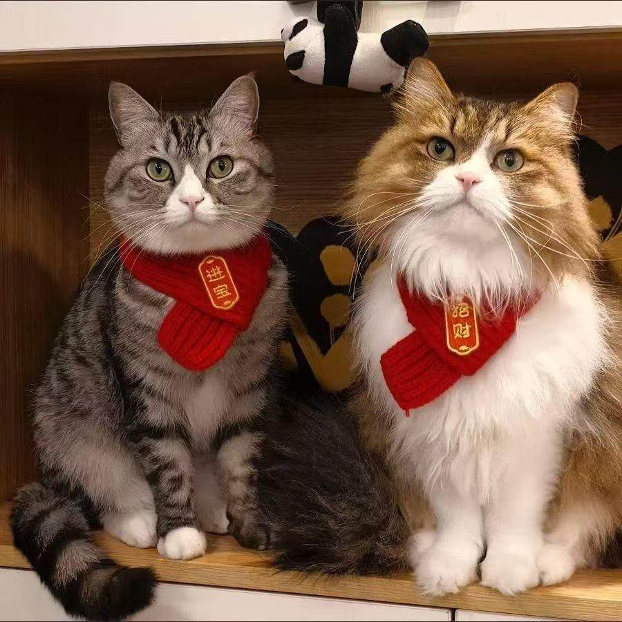 猫咪围脖小狗可爱新品毛线宠物围巾围兜狗狗保暖配饰红色喜庆新年