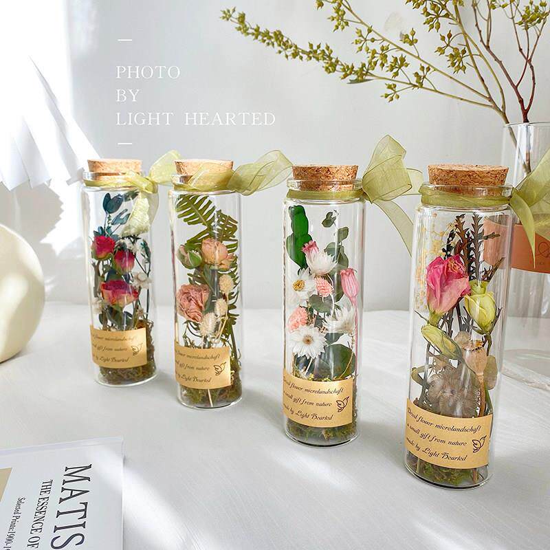 洋桔梗干燥花永生花玻璃试管康乃馨植物标本摆件生日520母亲节礼