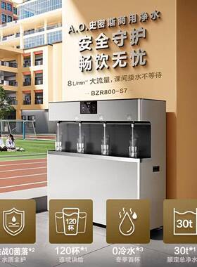 史密斯 商用净水器loT定时开关机远程电子调温反渗透 BZR800-S717