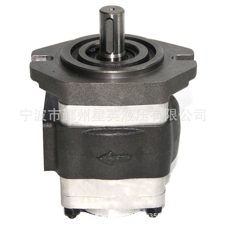 工厂供应NBL2A1-251L-H01内齿轮泵不锈钢液压齿轮泵