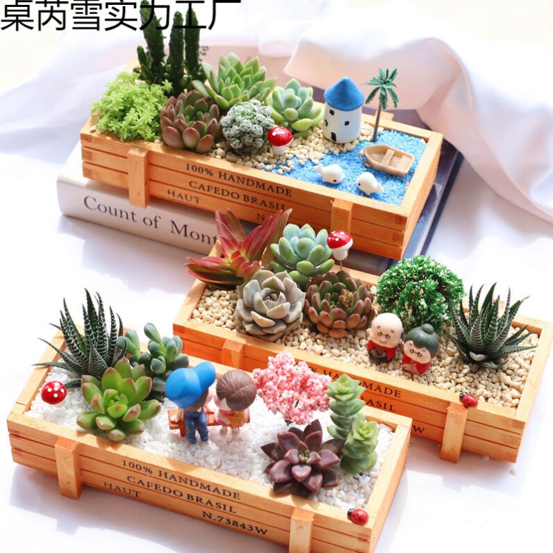 多肉植物组合盆栽套餐多肉DIY 微景观材料包含盆含土室内绿植包邮