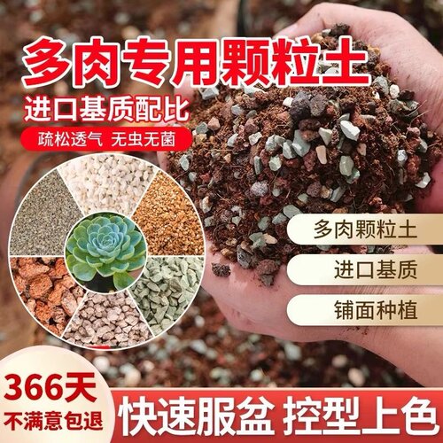 多肉植物营养土泥炭土多肉颗粒土小苗叶插换盆土纯颗粒铺面石花土