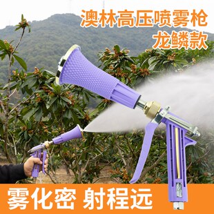 澳林农用打药喷枪高n压果树打药机专用高压柱塞泵雾化细腻喷雾枪