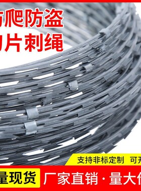 防盗刀片a刺绳不锈钢刀刺网围墙防爬带刺铁丝镀锌监狱学校围栏滚