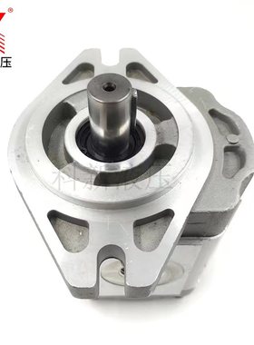 极速齿轮泵CdBF-F410 412 414 416 418 420 425 432高压液压齿轮