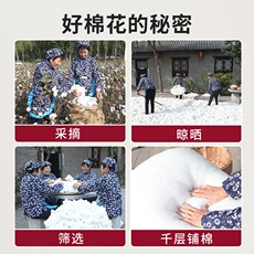 Одеяло