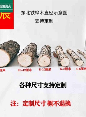 极速木铁桦树桦木原木铁桦原A木装饰树隔断橱窗隔断湿木料