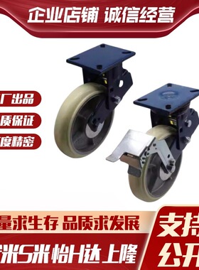 CFP30/CFP31/D100/D125/D150/D200/B-AT-AR--AS 怡合达减震胶轮