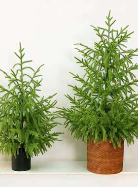 亚马逊手感软胶诺福克松树盆栽绿色人造圣诞树盆栽假植物前廊室