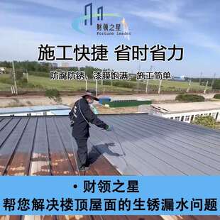 铁锈转化剂彩钢瓦厂房铁皮屋面桥梁防锈翻新水性金属防锈漆油漆