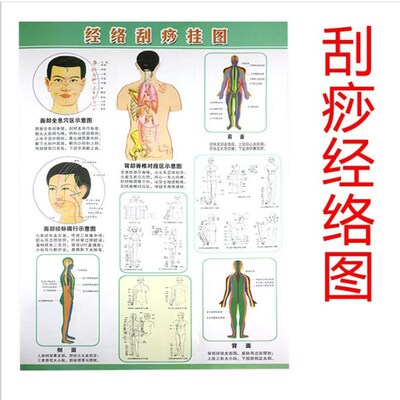 经络刷肚子按摩器全身通用带脉疏通神器揉腹部筋络刷腿部刮痧肝胆