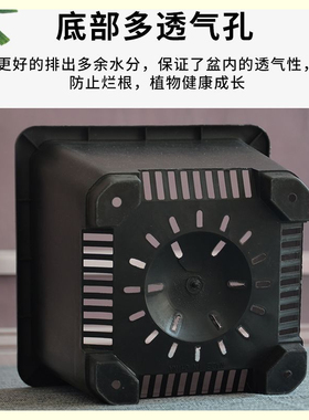 白色多肉花盆景天小方盆单头老桩景天盆多肉小方盆塑料小黑方加厚