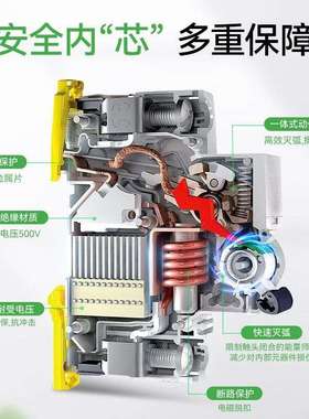 iC65N2P一体式漏电断路器A9D65216/20/25/32/40/50/63 iC65Nvigi