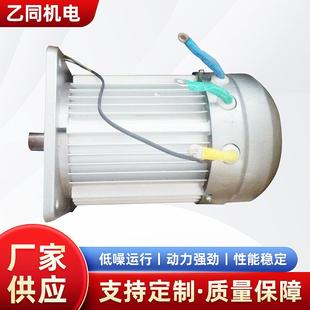 微型振动电机微型直流电机电动三四轮车小功率直流无刷电动机马达