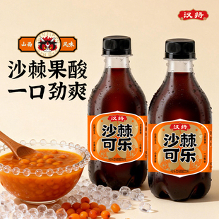 汉将沙棘可乐零卡零脂网红汽水沙棘可乐聚餐烧烤饮品碳酸饮料汽水
