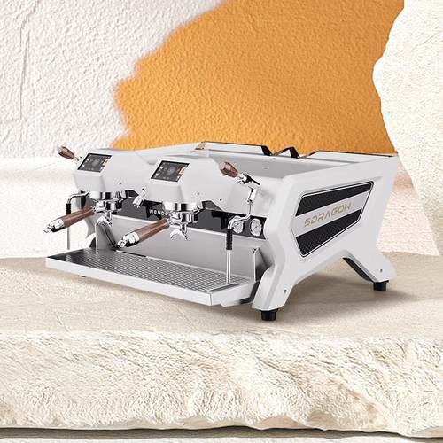 Sdragon迅猛龙意式半自动咖啡机商用双头电控温豆季多锅炉饱和式