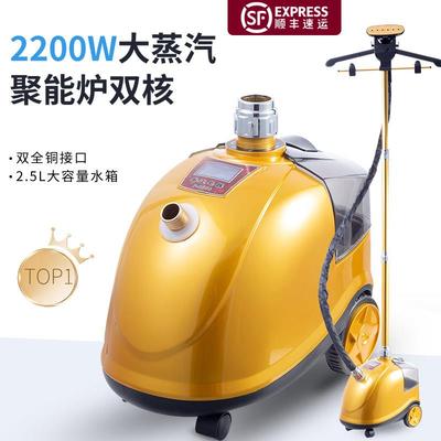 普迩P-9800挂烫机全铜接口2200W大功率蒸汽手持服装店家用熨斗