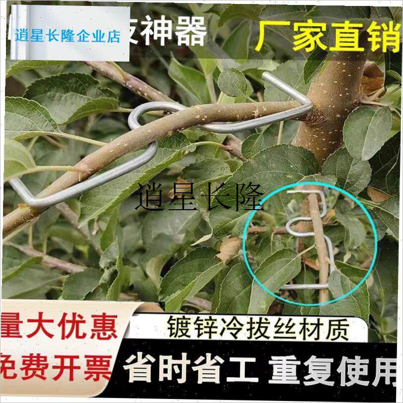 l果树拉枝器SM型定型器别枝压枝苹果柑J橘月季盆景用弯枝夹5斤包