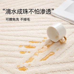 客厅地毯轻奢防水法式 奶油免洗真高级免打理可擦卧室沙发垫冬季 风