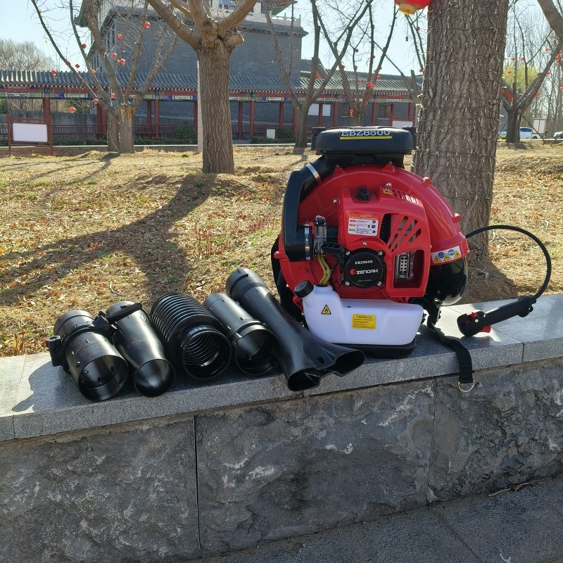 公园小区国道吹叶机 轻便蔬菜大棚吹雪机 便捷式森林灭火器